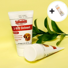 강아지피부병약