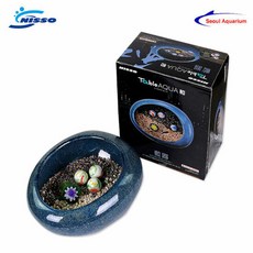 고양이도자기어항