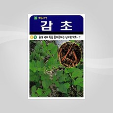슬로시 약초 씨앗 일당귀 율무 인삼 종자 황기 감초, 1개
