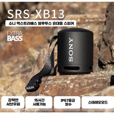 소니 휴대용 블루투스 스피커 SRS-XB100