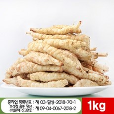 누에형 초석잠생뿌리 1kg - 국산 생초석잠, 1개