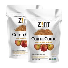 zint 진트 카무카무 베리 비타민C 파우더 분말 가루 camu camu 3.5oz 99gX2팩, 2개, 99.224g
