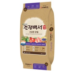 2020한류백서