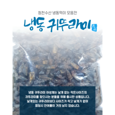 청천수산 냉동 귀뚜라미 아성체 사료, 500마리