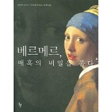 베르메르 매혹의 비밀을 풀다, 돌베개