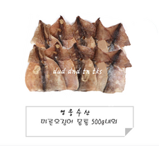 누드오징어