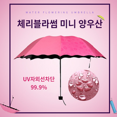 색깔변하는우산
