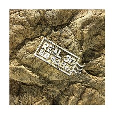 나이스뷰리얼3d