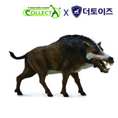 컬렉타메갈로돈