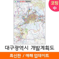 대구개발계획