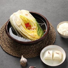 농협 풍산김치 백김치 2.5kg x 2통, 2개