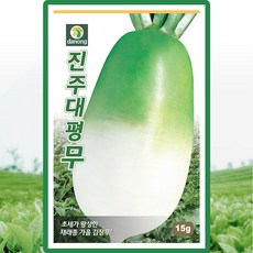 다농 진주대평무 씨앗 15g 재래종 가을 김장무씨 종자, 단품