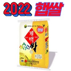 2022년서리태