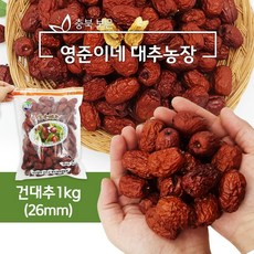 보은대추 보은 황토 건대추 1kg (26mm) 산지직송