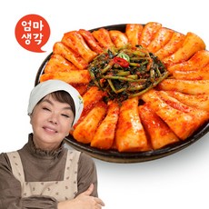김수미의 엄마생각 총각김치 5kg, 단품