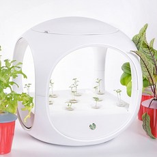 닥터플랜츠