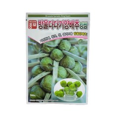 방울다다기양배추다이어트