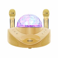 듀얼노래방기계