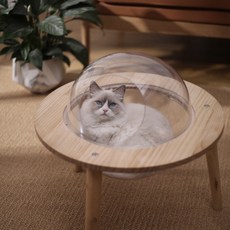 고양이 UFO 우주선 투명 아크릴 숨숨집 반려묘 냥이 캣 하우스 해먹 캡슐 반려동물 용품