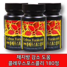 콜레우스