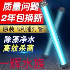 d19a5ca341f6ca6494da6296008e00c749cc9892ef2ce85d6638073a982d.jpeg