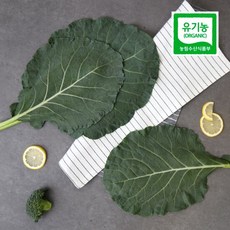 자연에서바로 친환경 유기농 케일 즙용 2kg, 1개