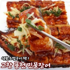고창 풍천 민물장어 2종, 02_생물1팩{장어+소스2종+생강}, 상세설명 참조