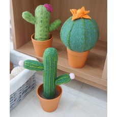 양모펠트선인장