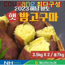 [쿠팡 핫딜!!] 해남화산농협]2023 해남화산농협 햇 밤고구마 3.5kg+3.5kg 총7kg, 1박스