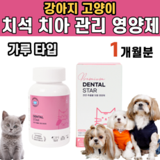 강아지잇몸염증약