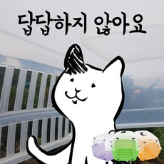 보이저비행기