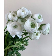 30f4d1b18687cb629e0cc7042304d55bd5e711e51d2e1d39ac5b45a362c6.JPG