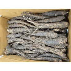 시나브로팜 강원도 양구 더덕(가정용 무침용 요리용 선물용), 4kg(가정용,무침용), 1개