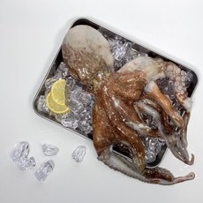 팜모닝 경매직송 통영 자연산 돌문어 500g 1kg, 1kg(1~3마리)