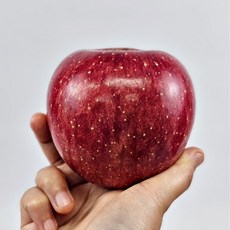 사과중 아삭끝판왕 원조품종 햇 부사 사과, 1박스, 5kg