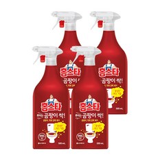 홈스타곰팡이싹