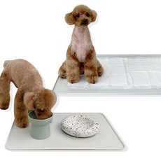 더뱅크 논슬립 실리콘 강아지 대형 배변매트, 1개, 배변매트 ( light gray )