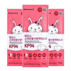 웰킵스초소형