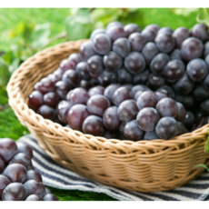 천안과일바구니