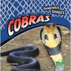 (영문도서) Cobras Paperback, Crabtree Seedlings, English, 9781427162397