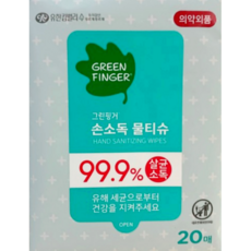그린핑거 손소독 물티슈 휴대형, 20매, 2개