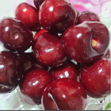 프리미엄 고당도생체리1kg2kg 왕체리 항공직송 [원산지:칠레], 1개, 9.5ROW(대) 2KG