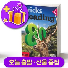 브릭스리딩80