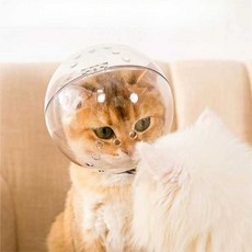 투명 우주인 고양이 인플루언서 켓 높이 보호 스쿠터 거실 송진, 1개, 고양이 우주 헬멧 M
