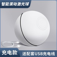 레이저포인트반려동물