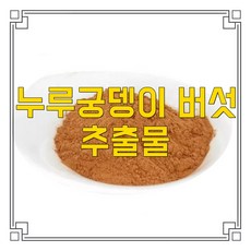 소율국제 노루궁뎅이 버섯 고농축 추출물 분말, 30:1, 200g, 1개