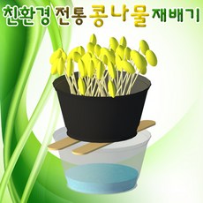 생명과학콩나물기르기