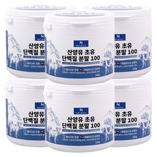 네덜란드육아법