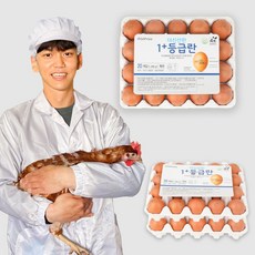 더신선한 1+등급란 특란 농부 달걀 계란 무항생제 1등급란, 1개