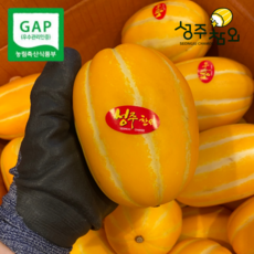 당일수확 산지직송 고당도 꿀 성주참외, 1개, 3kg 중대과